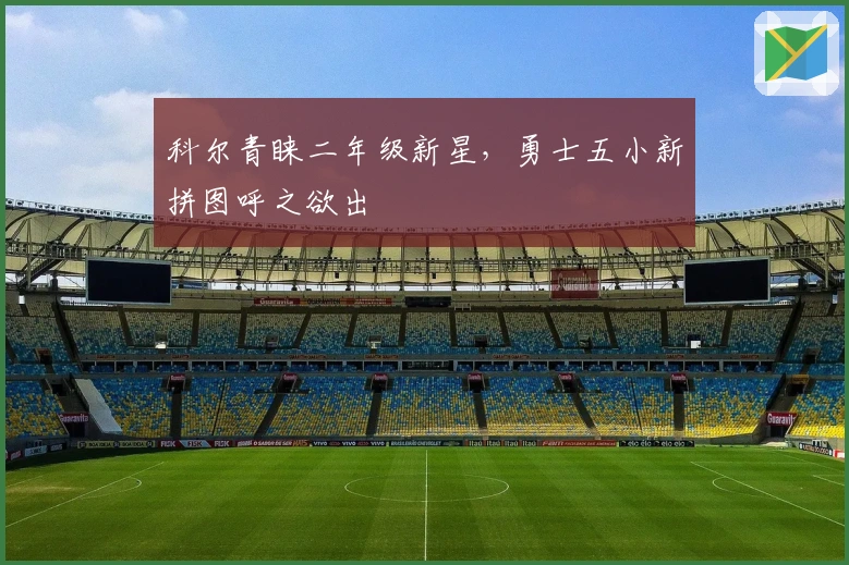 科尔青睐二年级新星，勇士五小新拼图呼之欲出