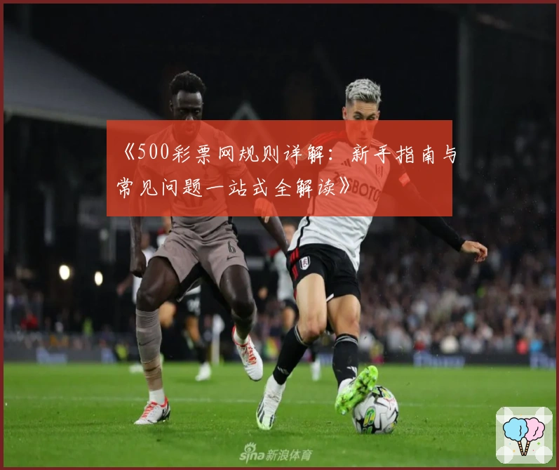 《500彩票网规则详解：新手指南与常见问题一站式全解读》